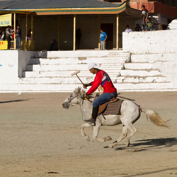 Polo Leh şehir turnuvada. Hint Himalayalar.