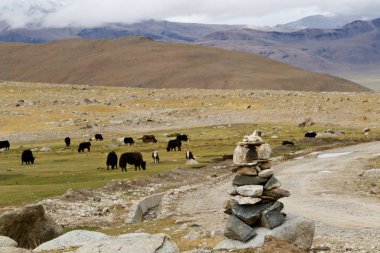 doğal görünümünü tarihi: Hindistan eyaleti