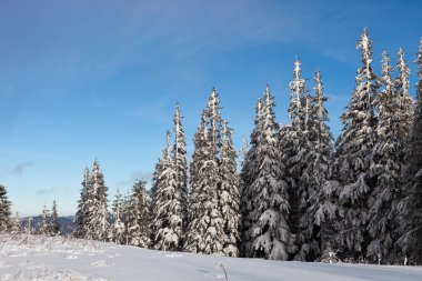 Ukrayna Karpatlar dağlar karla kaplı güzel kış manzarası