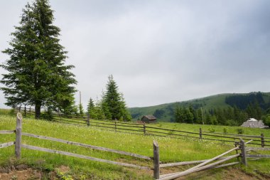 Ukrayna Karpatlar ortasında köyüdür