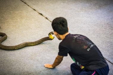 Tayland ada keşfetmek doğal görünümü