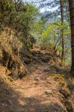 dağ izi görünümünü Trek Everest Merkez kampına