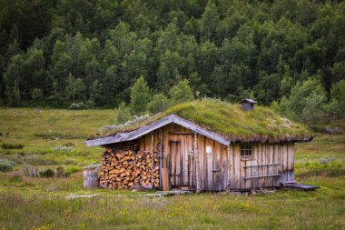 Norveç ev çim çatılı