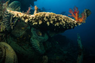 II. Dünya Savaşı sırasında Red Sea, Mısır İngiliz askeri nakliye gemisi battı