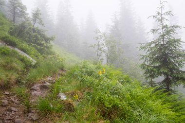 Karadağ dağ aralığının puslu görünümü