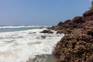 Varkala beach resort güneşli bir günde. Kerala. Hindistan