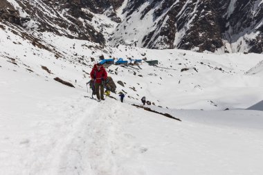 Narchyang, Nepal-Mart 23: Turist 23, 2015 yılında Narchyang, Nepal bir grup. Annapurna Merkez kampına bir güzergah üzerinde turist bir grup.