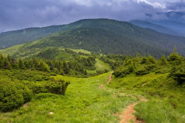 Karadağ dağ silsilesi içinde Karpatlar yaz Panoraması