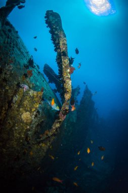 II. Dünya Savaşı sırasında Red Sea, Mısır İngiliz askeri nakliye gemisi battı