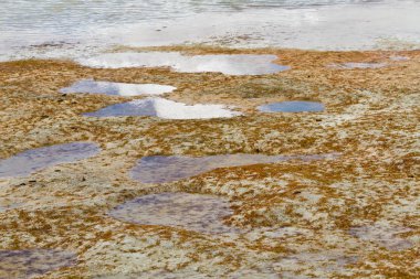 doğal görünümünü tarihi: Hindistan eyaleti