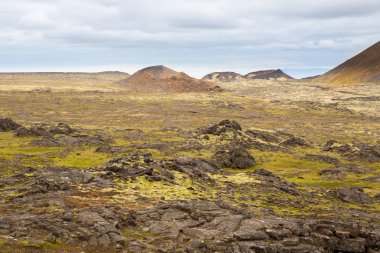 Güzel dağ manzarası Reykjanesfolkvangur, İzlanda.