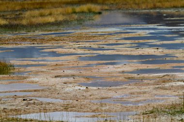 doğal görünümünü tarihi: Hindistan eyaleti