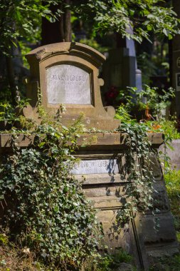 Eski mezarlık mezarda yeraltı girişine