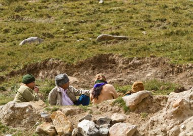doğal görünümünü tarihi: Hindistan eyaleti