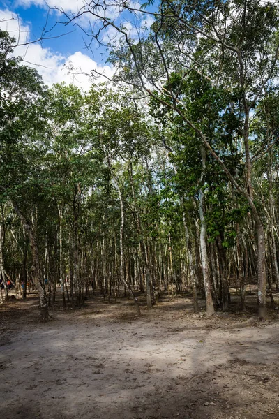 Viaggiare Attraverso Città Del Messico Durante Giorno Messico — Foto Stock