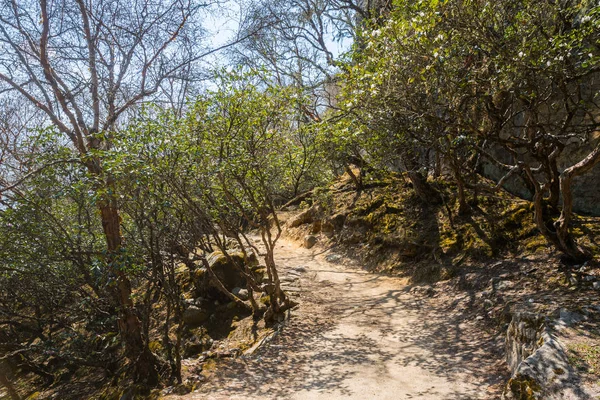 徒步前往珠穆朗玛峰大本营的山道景观 — 图库照片