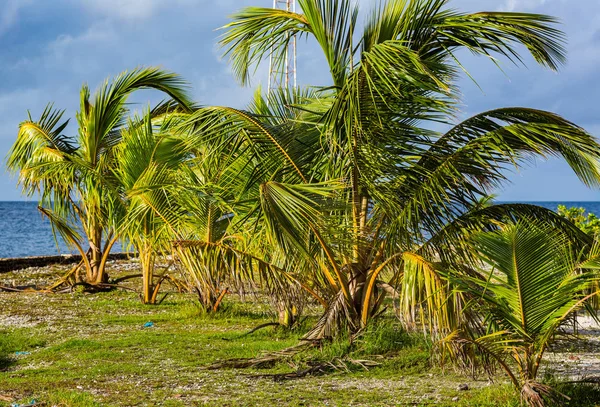 Relajación Durante Las Vacaciones Las Islas Maldivas — Foto de Stock