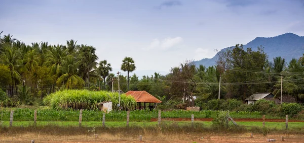 Barrio Agrícola Kerala India Del Sur — Foto de Stock