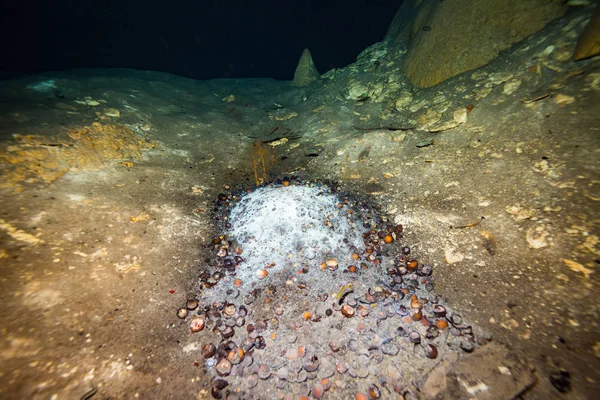 멕시코에서 바다의 바닥에 동굴의 이미지 — 스톡 사진