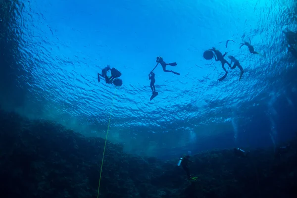 Plongeurs Sur Récif Mer Rouge — Photo