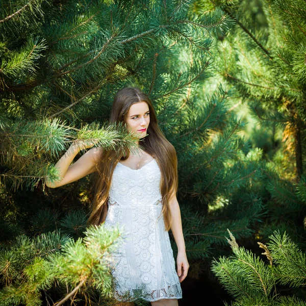 Uma Jovem Menina Bonita Uma Floresta Abetos — Fotografia de Stock