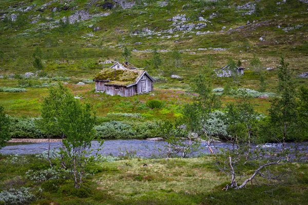 Casa Norueguesa Com Telhado Grama — Fotografia de Stock