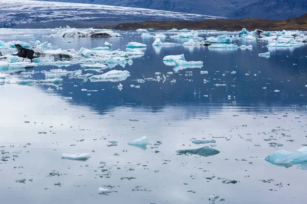 冰岛冰川泻湖中的冰山 Ekulsarlon — 图库照片