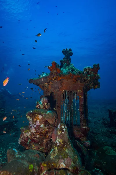 Podvodní Natáčení Oceánu Flóry Fauny Bali Indonésie — Stock fotografie