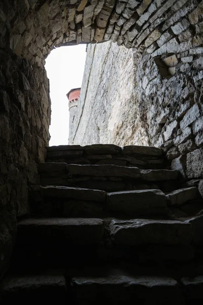 Donjon Château Médiéval Dans Ouest Ukraine — Photo