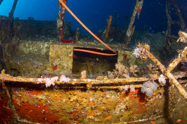 Naufragio Una Barriera Corallina Nel Mar Rosso Vicino Sharm Sheikh — Foto Stock