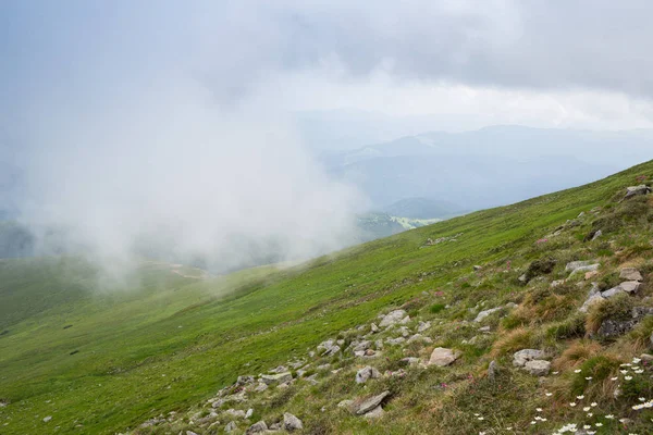Літній Панорама Чорногорської Гірського Хребта Карпатах — стокове фото