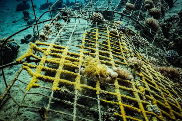 水中ショットと海底 — ストック写真