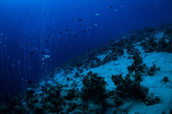 Φούσκες Αυξάνεται Από Φαράγγι Νταχάμπ — Φωτογραφία Αρχείου