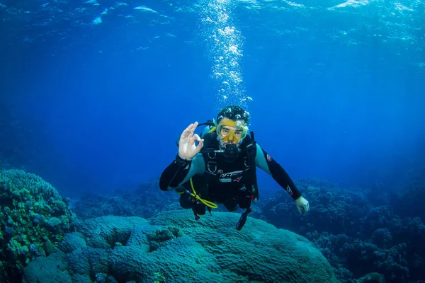 Mergulhador Reaf Mar Vermelho — Fotografia de Stock