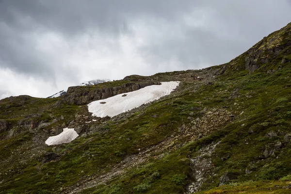 güzel manzara Milli Parkı Jotunheimen, Norveç
