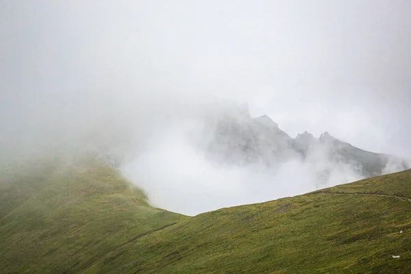 喀尔巴泰山脉黑山山脉夏季全景 — 图库照片