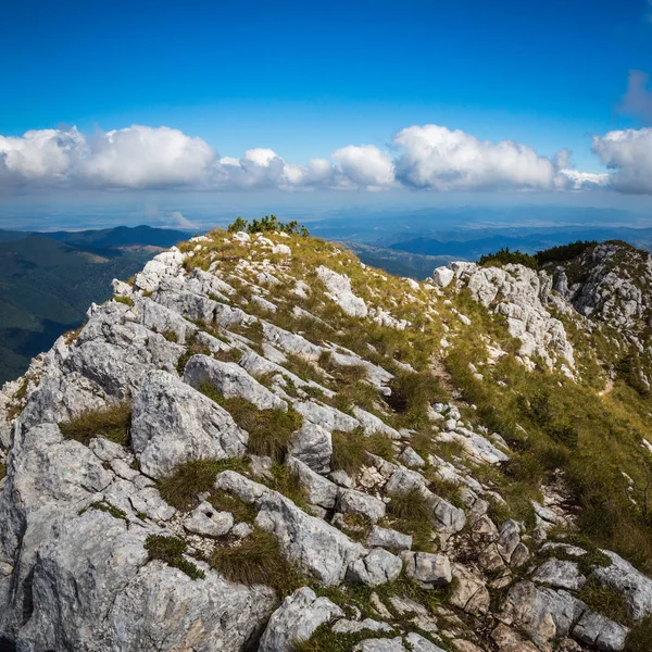 Panorama Verano Cordillera Montenegrina Cárpatos —  Fotos de Stock