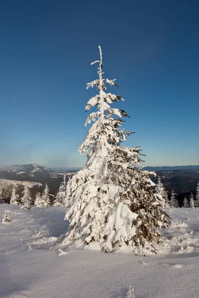 Beautiful Winter Landscape Snow Covered Ukrainian Carpathians Mountains — Stock Photo, Image