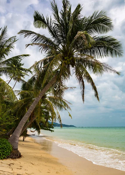 Piękne Morze Wybrzeżu Koh Samui Tajlandia — Zdjęcie stockowe