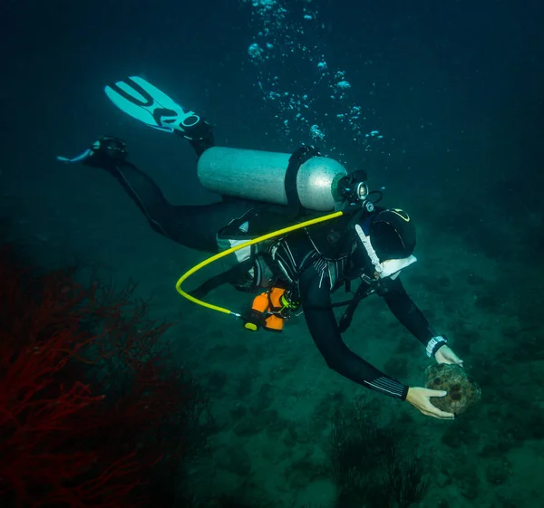 Scubadiver Tient Étoile Mer Sur Récif Près Île Kot Tao — Photo