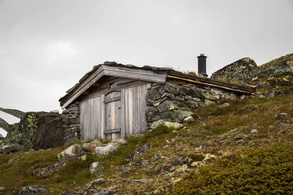 Maison Norvégienne Avec Toit Herbe — Photo