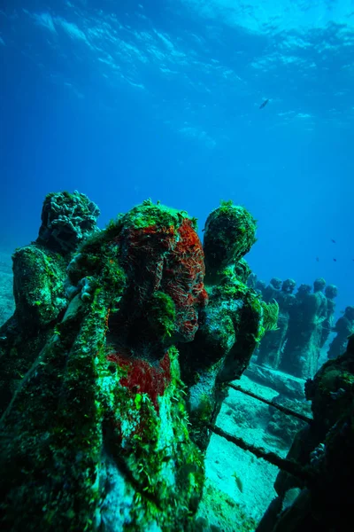 underwater picture of stone statues on ocean bottom