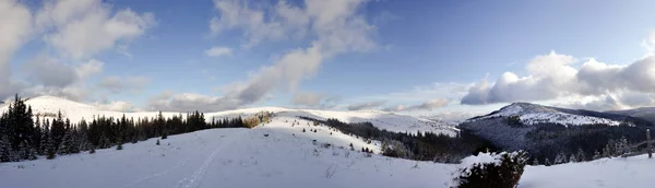 美丽的冬季景观在白雪覆盖的乌克兰喀尔巴泰山脉 — 图库照片