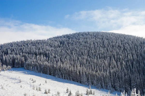 ウクライナのカルパチア山脈の雪に覆われた美しい冬の風景 — ストック写真