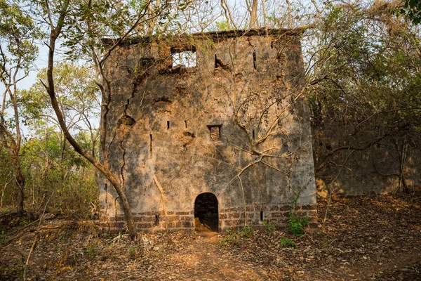 Redi Fort Norra Goa — Stockfoto