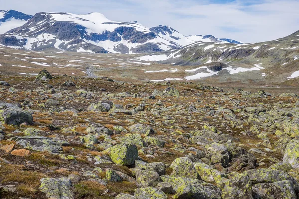 Landskapet Nationalparken Norska Jotunheimen — Stockfoto