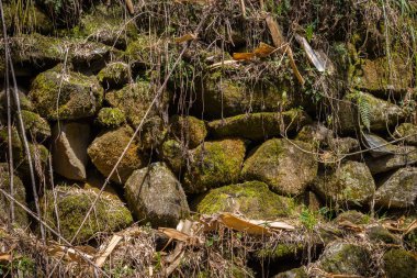 Nepal il keşfetmek doğal görünümü