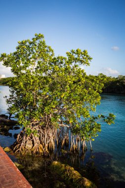 Gündüz Meksika'da seyahat, Meksika 