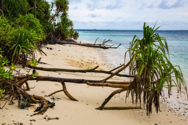 Maldivler Adaları tatil sırasında gevşeme
