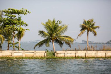 doğal görünümünü tarihi: Hindistan eyaleti